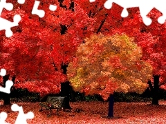 Ławeczka, Drzewa, Jesień, Czerwone
