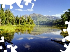 Jezioro, Drzewa, Górskie