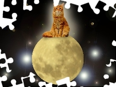 Księżyc, Kot