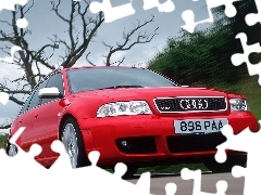 Audi RS4, Czerwone