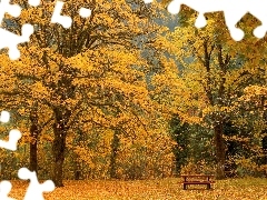 Las, Ławeczka, Jesienny