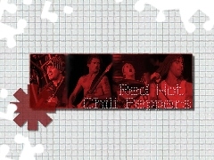 gitara, koncert, Red Hot Chili Peppers, zespół