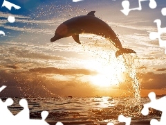 Delfin, Słońca, Morze, Zachód