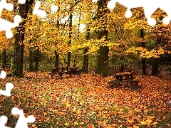 Drzewa, Liście, Park, Jesień, Ławeczki