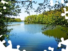 Jezioro, Drzewa, Wiosna