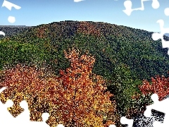 Drzewa, Góry, Jesień, Zalesione
