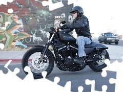 Harley Davidson Sportster 883 Iron XL883N