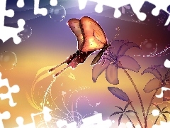 Motyl, Grafika, Kwiatki