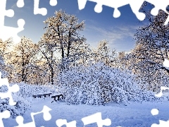 Zima, Śnieg, Niebo, Drzewa