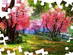 Kwitnące, Drzewa, Ogród