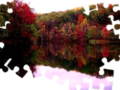 Las, Rzeka, Jesień