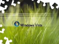 Zielona, Vista, Logo, Trawa, Windows