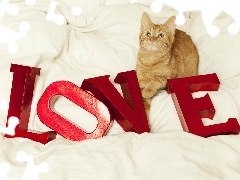 Miłość, Walentynki, Kot