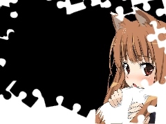 Spice and Wolf, Postać