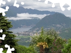 Palmy, Chmury, Panorama, Gór