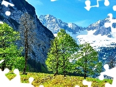 Alpy, Drzewa, Góry, Austria, Śnieg