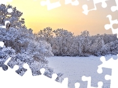 Śnieg, Drzewa, Zachód, Zima, Słońca