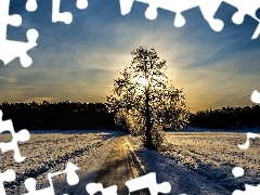 Promienie, Drzewo, Wschód, Śnieg, Słońca