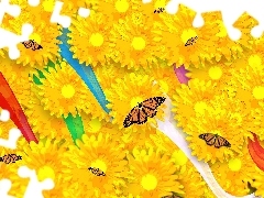 Kwiatki, Motylki, Żółte