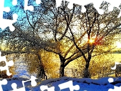 Słońca, Promienie, Rzeka, Zima, Drzewa