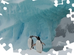 Antarktyka, Aiceberg, Dwa, Pingwiny
