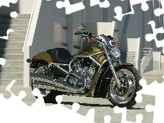 Harley Davidson V-Rod, Oliwkowy