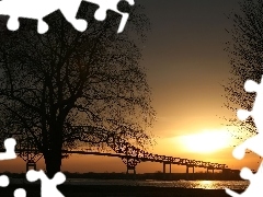 Słońca, Zachód, Most, Drzewa