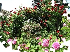 Różany, Ogród