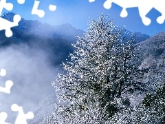 Zima, Drzewa, Góry, Mgła