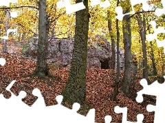 Jaskinia, Wejście, Drzewa, Głazy