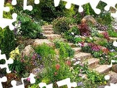 Kamienie, Schody, Ogród, Kwiaty