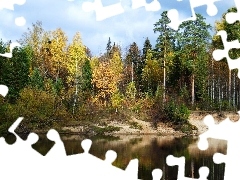 Las, Jesień, Jezioro