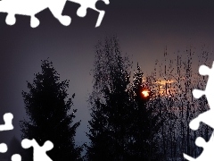 Słońce, Ukryte, Zima, Drzewa