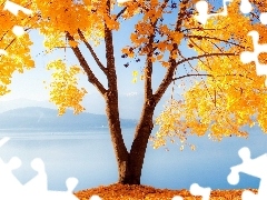 Jesień, Góry, Jezioro, Drzewo