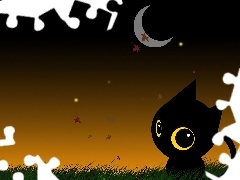 Kotek, Księżyc, Czarny