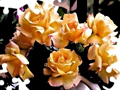 Żółtych, Róż, Bukiet