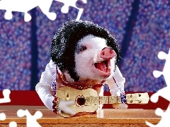 Śmieszne, Świnia z Gitarą