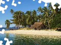 Domek, Palmy, Wyspa