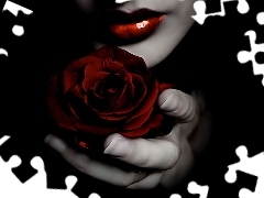 Róża, Czerwona, Kobiece, Usta