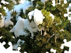 Drzewo, Sople, Zima, Śnieg