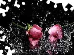 Woda, Róże
