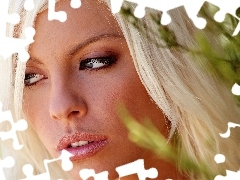Twarz, Britney Amber