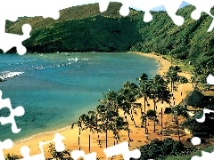 Oahu, Palmy, Góry, Morze, Hawaje, Plaża
