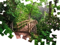 Mostek, Drzewa, Park