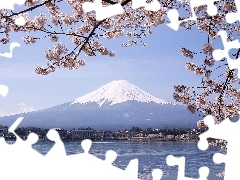Fuji, Gałązki, Góra, Jezioro, Japonia, Kwitnące