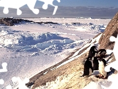 Pingwiny, Góry, Śnieg