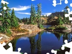 Drzewa, Jezioro, Park, Washington