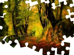 Alejka, Jesieni, Drzewa, Kolorowe, Obraz, Barwy