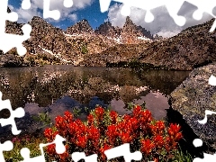 Góry, Sierra Nevada, Kwiaty, Jezioro, Czerwone, Stan Kalifornia, Stany Zjednoczone, Minaret Lake