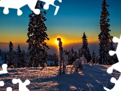 Zachód Słońca, Drzewa, Zima, Śnieg